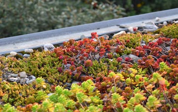 the cost of Bedingfield green roof installation