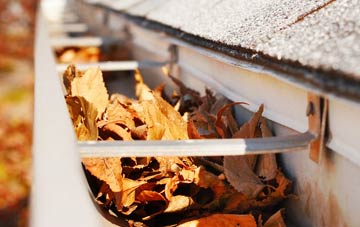 Bedingfield gutter cleaning companies