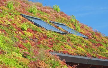 Bedingfield living roof systems