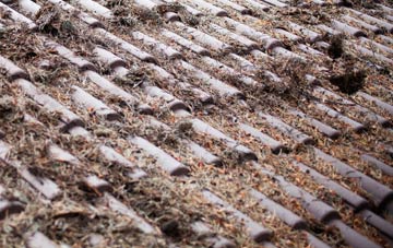 Bedingfield roof cleaning companies