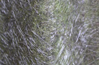 Bedingfield fibreglass roof work