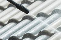 rated Bedingfield roof cleaning companies